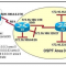 [Cisco Up To Dated -2018] Easy Cisco ICND2 200-105 Dumps Exam v3.0 Questions Learning Mode Youtube Training for Interconnecting Cisco Networking Devices Part 2 204Q Offer(1-20)